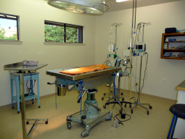 Surgery Suite