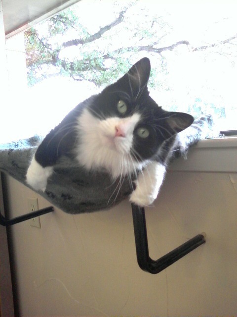 Hi Farrah!